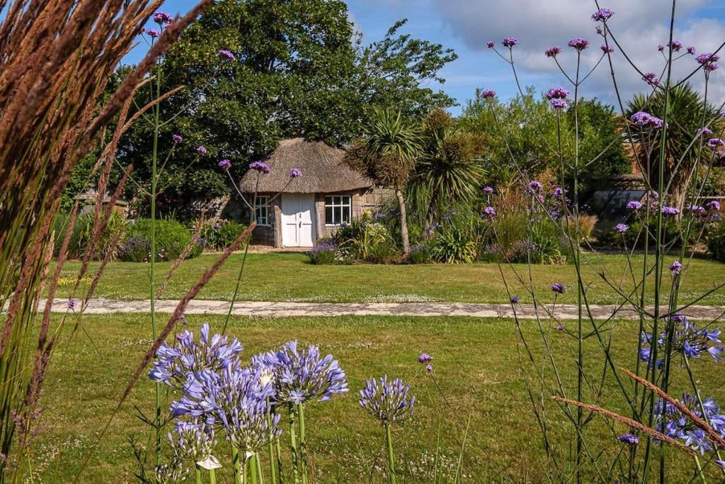 The Beach House-Devon- On The Beach- Sleeps 20 Βίλα Έξμαουθ Εξωτερικό φωτογραφία
